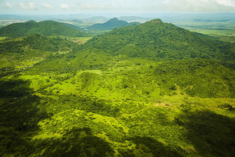 Força Estadual de Combate ao Desmatamento já embargou mais de 9 mil hectares de terra em 2024