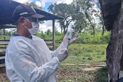 notícia: Adepará reforça vacinação e vigilância sanitária em Anajás na Ilha do Marajó