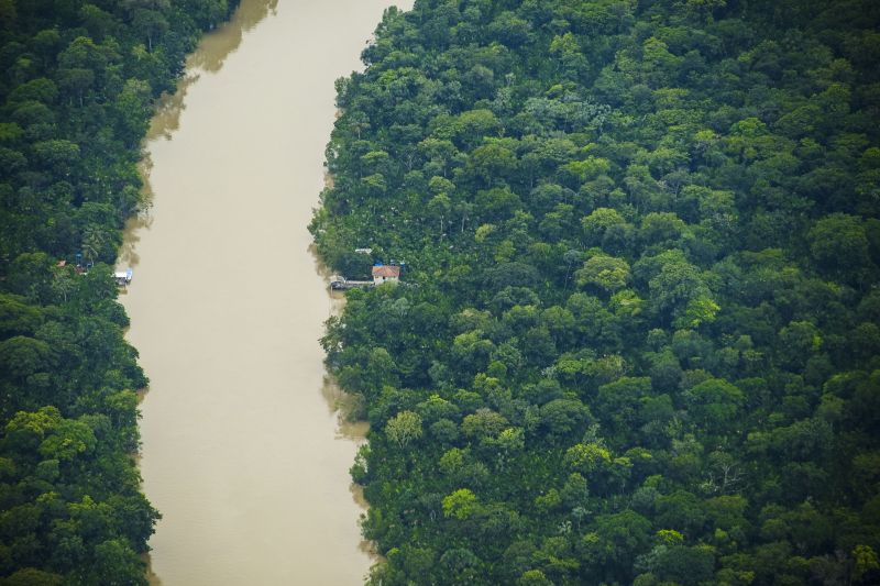 Dados do Inpe comprovam redução no Pará de 21% no desmatamento