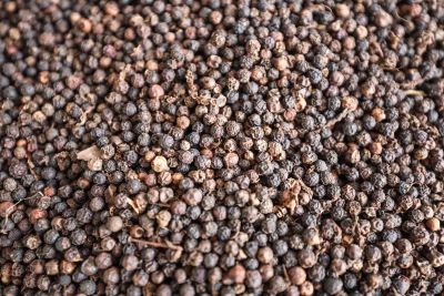 notícia: Pará segue como segundo maior produtor nacional de pimenta-do-reino 