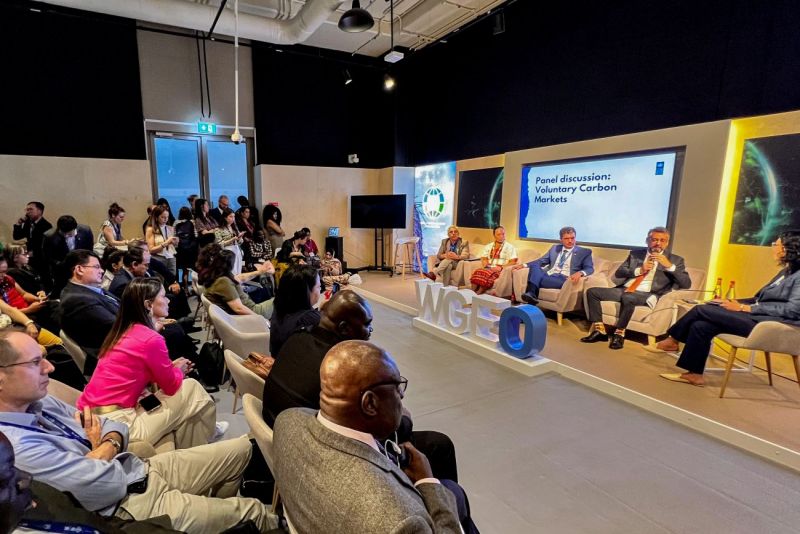 Governador participa de painel sobre mercado de carbono na COP 28 e apresenta modelo paraense