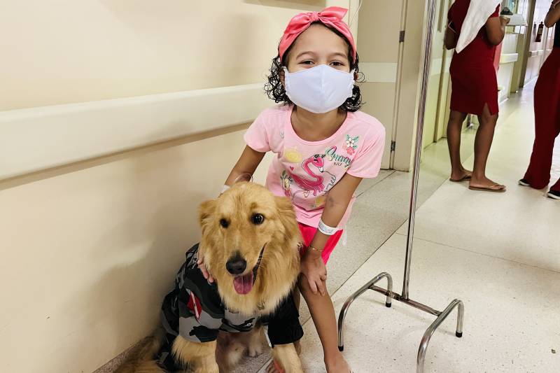 Dr. Alecrim, o cão terapeuta, leva alegria e bem-estar a pacientes do Oncológico Infantil