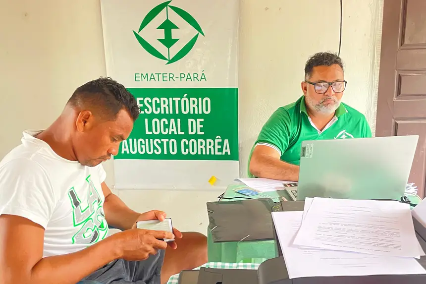 Emater registra produtores de mandioca de Augusto Corrêa para políticas públicas