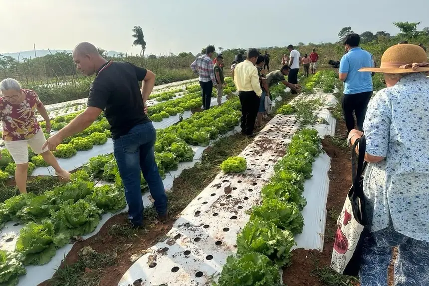 Agrônomos são essenciais para fortalecer desenvolvimento sustentável no Pará
