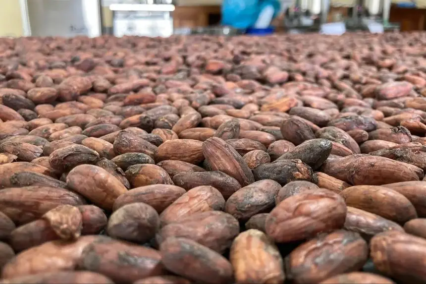 Sedap destacará Indicações Geográficas e agricultura de baixo carbono na COP30