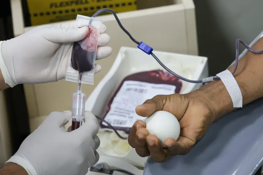 Hemopa deve fechar 2025 com mais de 100 mil doações de sangue no Pará