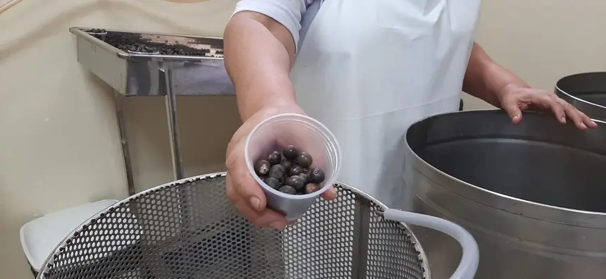 Sespa realiza capacitação para reforçar boas práticas na manipulação do açaí 