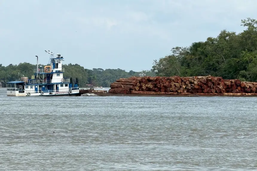 Operação na malha fluvial de Óbidos apreende 586 metros cúbicos de madeira ilegal