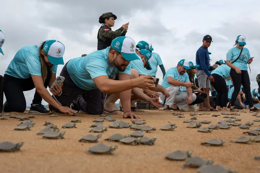 Soltura de quelônios no Rio Xingu emociona e reforça compromisso com o meio ambiente