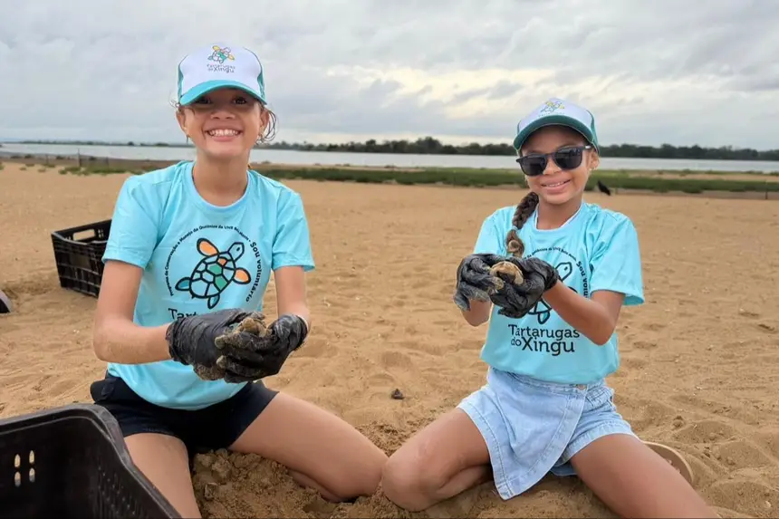Soltura de 1,8 mil quelônios no Tabuleiro do Embaubal reforça proteção à biodiversidade