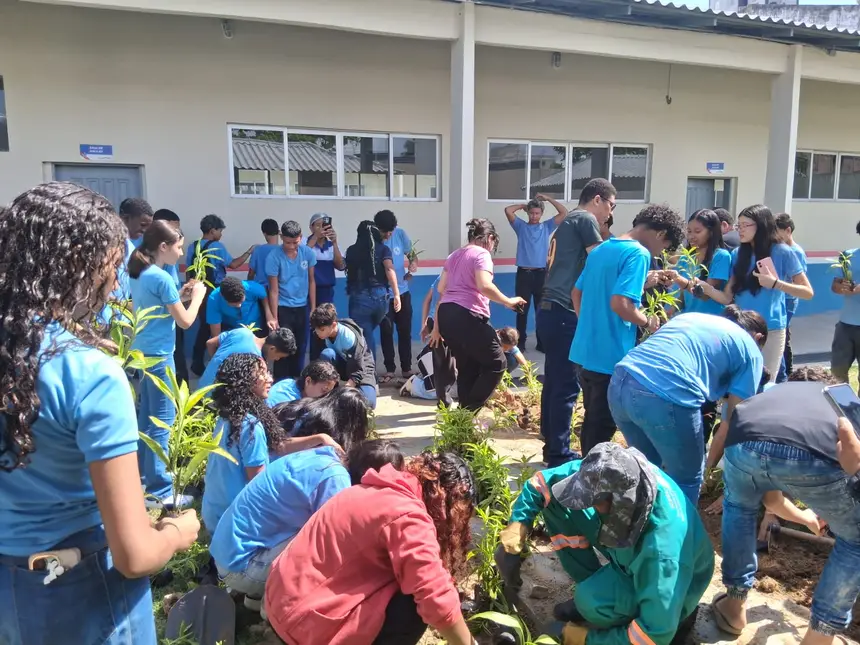 Estudantes criam jardins sustentáveis com materiais recicláveis