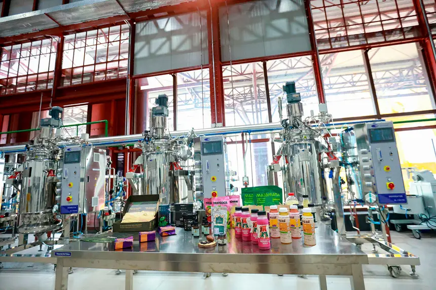 Pará fecha 2025 com queda histórica no desmatamento e ênfase na bioeconomia