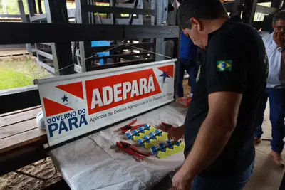notícia: Novo PSS da Adepará oferta 16 vagas para contratação temporária no Pará