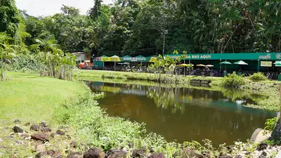 notícia: Parque Estadual do Utinga celebra 33 anos como referência ambiental e de qualidade de vida em Belém