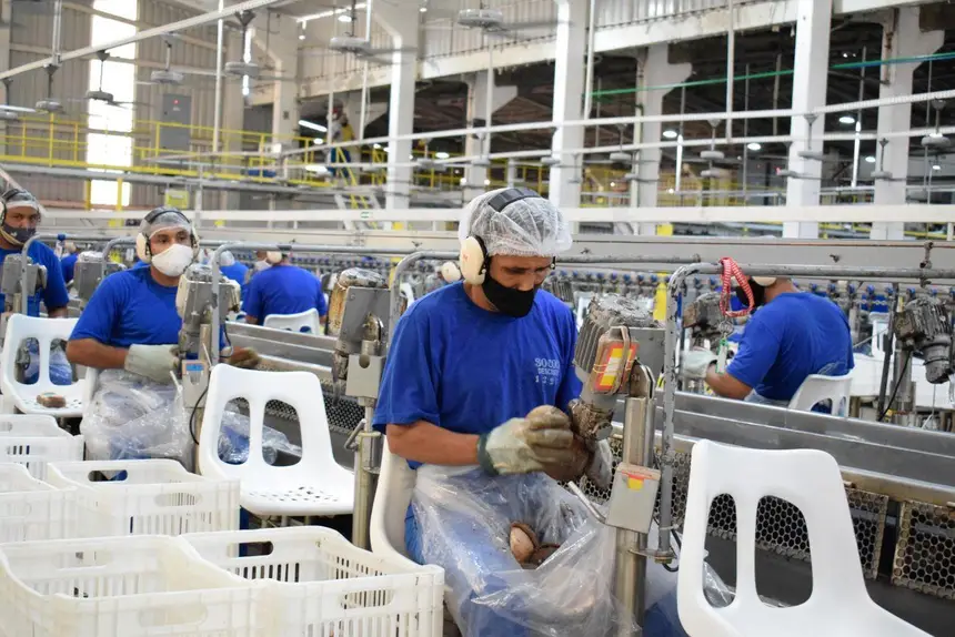 Primeiro Ofício transforma trajetórias e amplia oportunidades para jovens paraenses