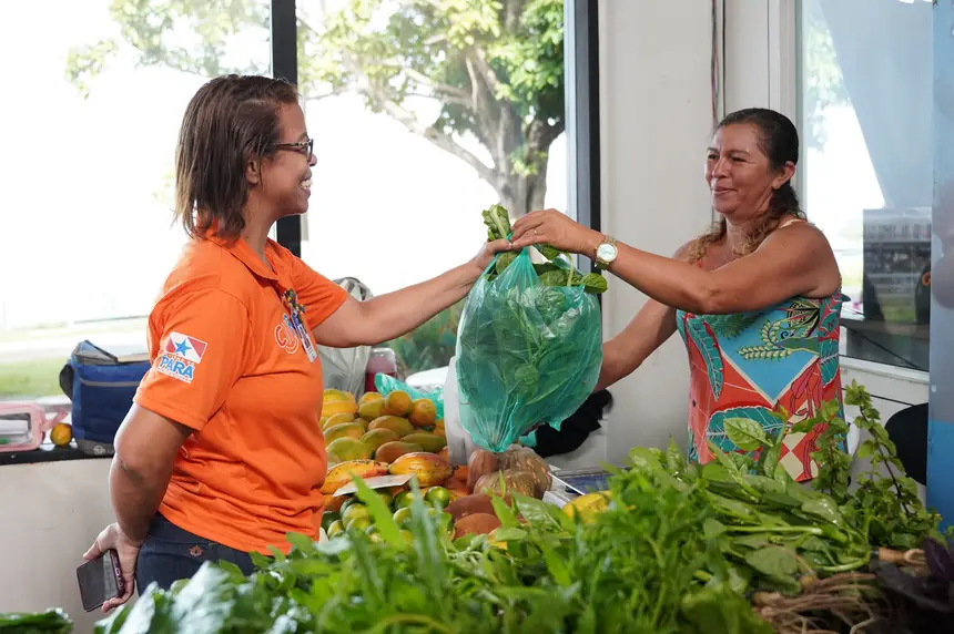 Ações sustentáveis reforçam compromisso ambiental e humanização no Cetea e no CIIR