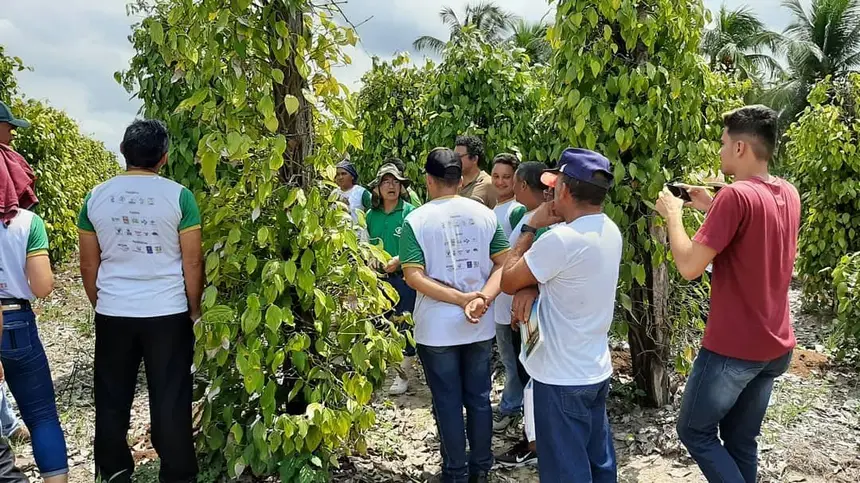 Engenheiro Ambiental é estratégico para desenvolvimento sustentável na Amazônia