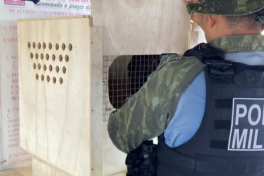 Agentes da Base Integrada Fluvial Candiru interceptam transporte de animais silvestres