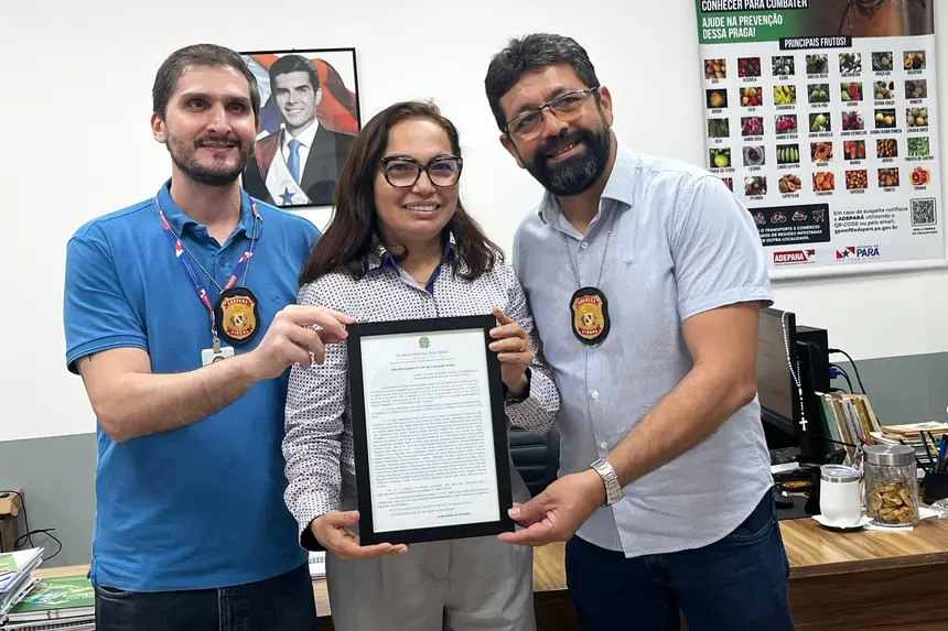 Atuação da Adepará garante erradicação da mosca-da-carambola em seis municípios