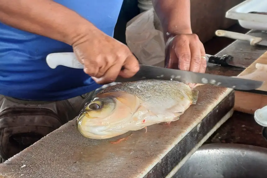 Santarém e Mojuí dos Campos se preparam para receber a Feira do Pescado 2026