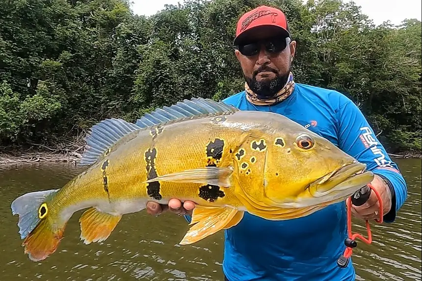 Pará regulamenta pesca esportiva e fortalece política ambiental na Amazônia Oriental