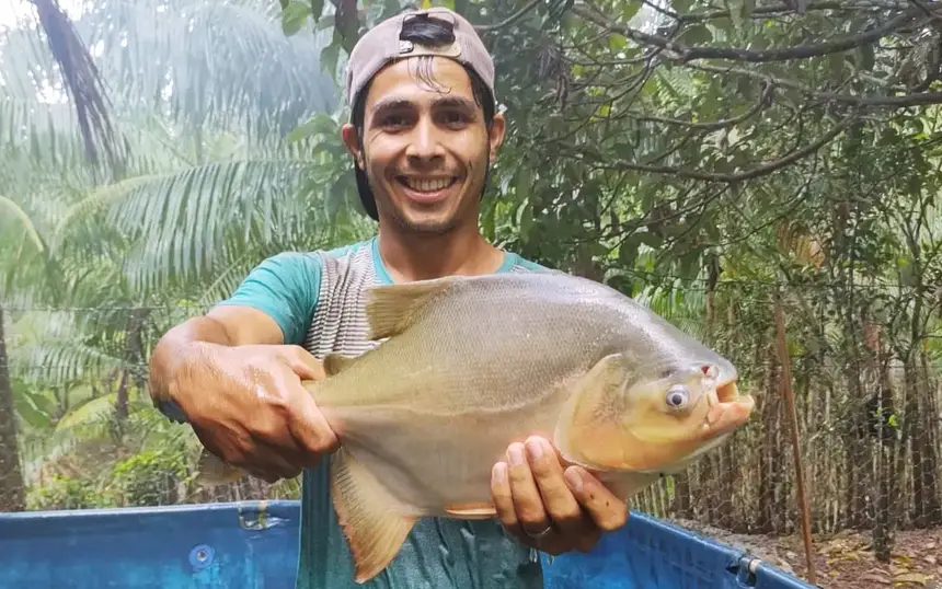 Piscicultor atendido pela Emater promove venda de peixe vivo em Marituba