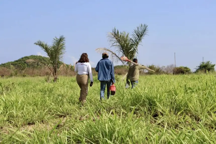 Iniciativa do Governo do Pará garante melhorias na qualidade de vida em áreas em recuperação florestal