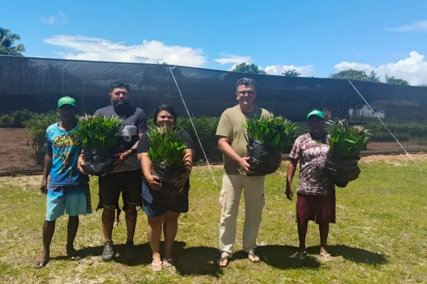 Parceria entre escritórios regionais do Ideflor-Bio fomenta produção sustentável no Pará
