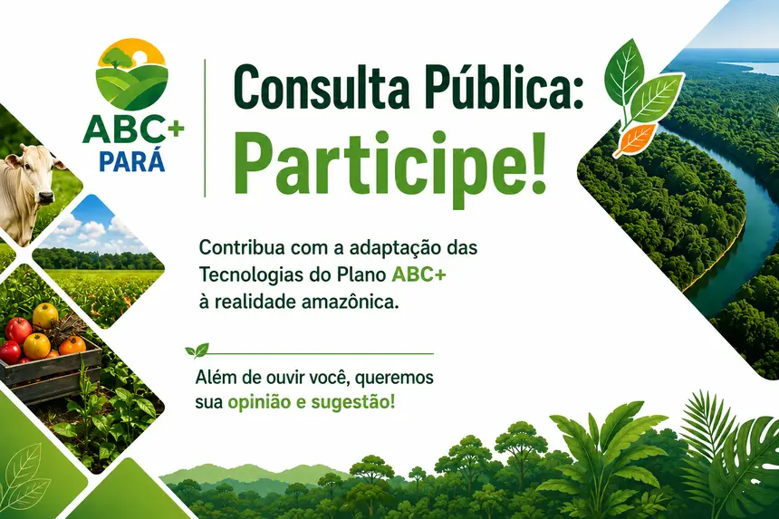 Aberta a Consulta Pública sobre adaptação das Tecnologias do Plano ABC+ à realidade amazônica