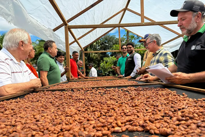 Sedap fortalece cadeia produtiva do cacau com capacitação e entrega de equipamentos