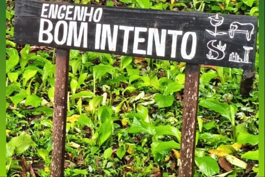 Bujaru avança na proteção ambiental e histórica com consulta pública para criação da unidade de conservação "Engenho Bom Intento"