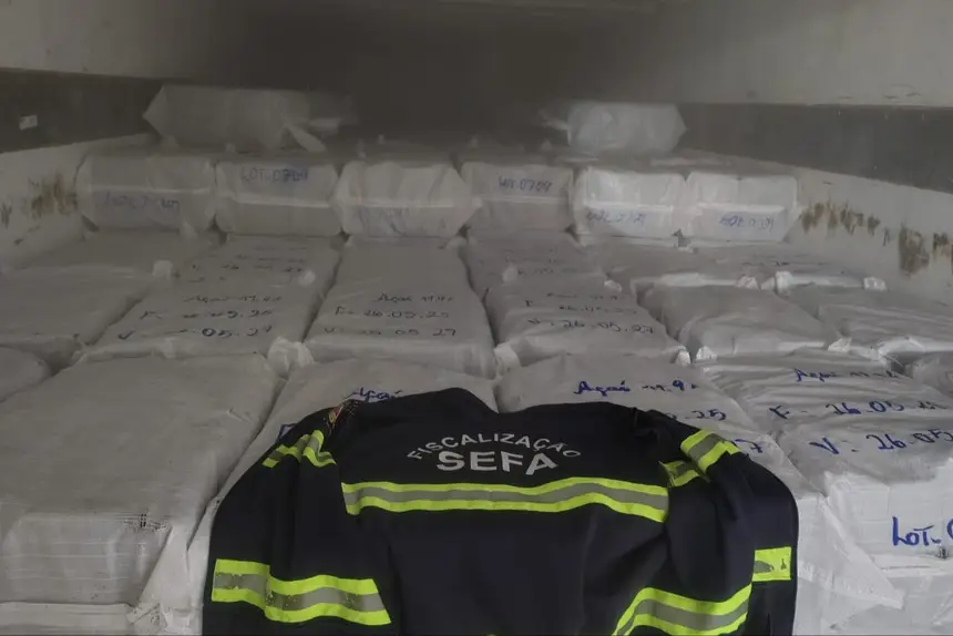 Sefa apreende 14 toneladas de polpa de açaí e duas escavadeiras durante fiscalizações no Pará