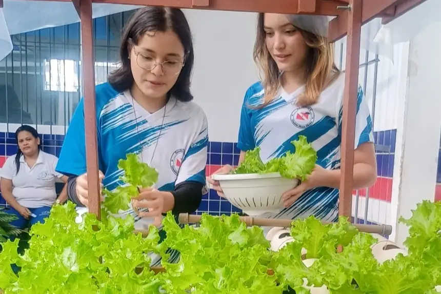 Política de Educação Ambiental amplia participação estudantil e boas práticas pedagógicas na rede pública estadual