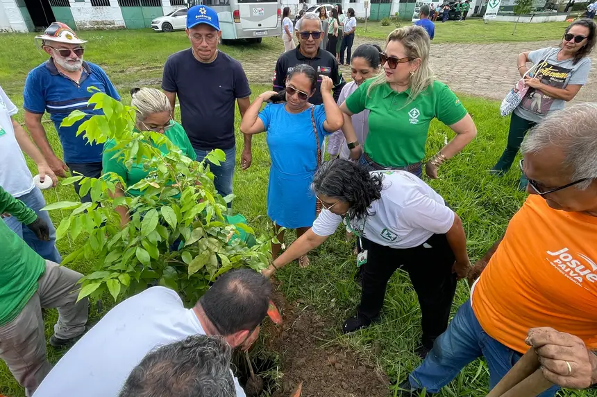 Emater planta mudas de árvores em Marituba
