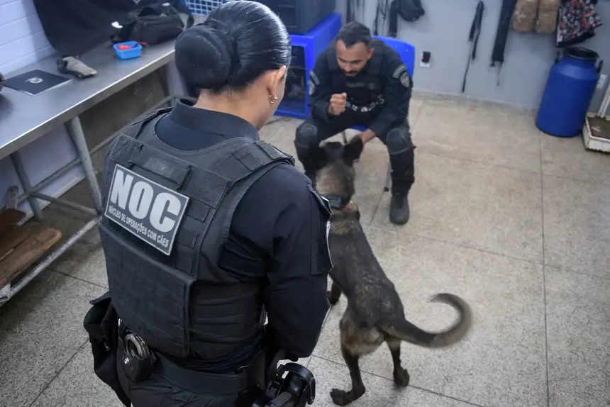 Estado fortalece a segurança penitenciária com Núcleo de Operações com Cães