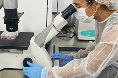 notícia: Fapespa Lança chamada pública para mulheres cientistas em Biotecnologia