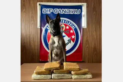 notícia: Fiscalização em Óbidos apreende 8,5kg  de drogas em embarcação