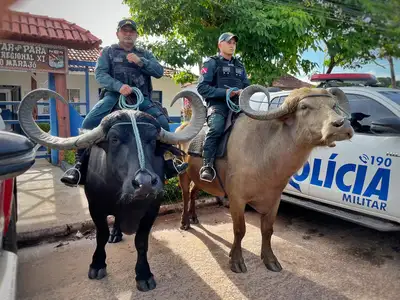notícia: Segup intensifica segurança no Marajó com mais de 200 agentes durante a Semana Santa