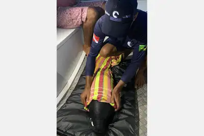 notícia: Filhotes de peixe-boi são resgatados no Baixo Amazonas e recebem apoio técnico da Semas